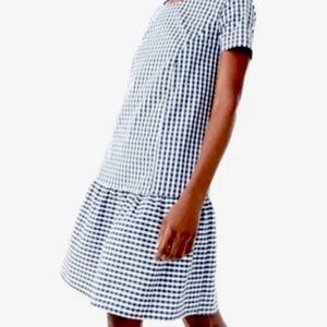 J.crew blue and white gingham shift dress